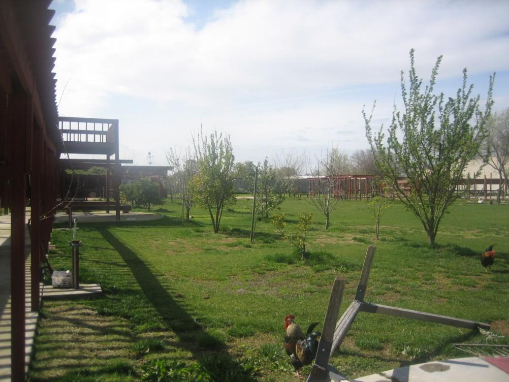 Photo of the landscaped, open space area on the eastern portion of the site.