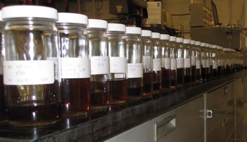 Through mild pretreatment we can produce an oil that is processable A.