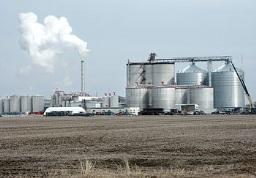 Capital costs Plant size and economies of scale Cellulosic Biorefinery <5,000 bpd