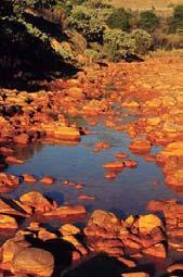5 things needed for acid mine drainage 1. Sulfide minerals 2. Oxygen 3. Water 4. Bacteria (Thiobaccillus) 5.