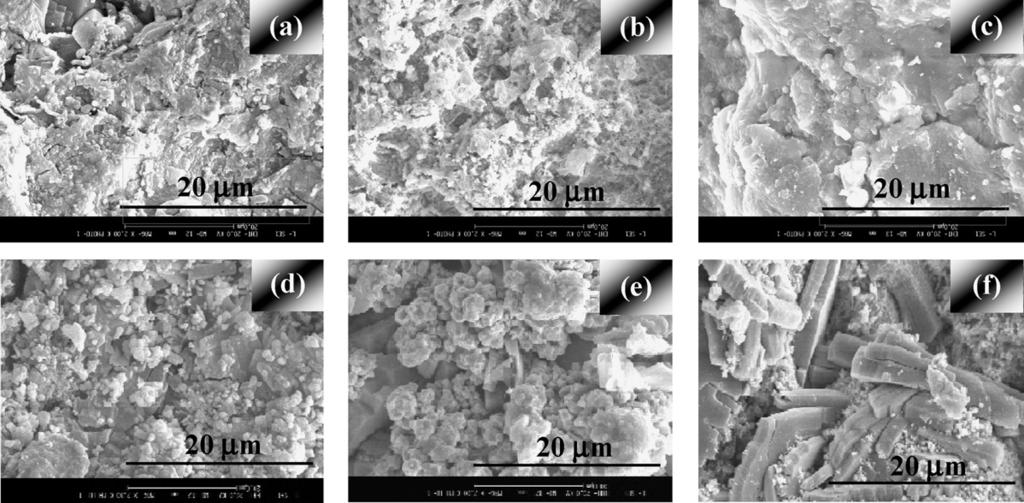 S. Jegannathan et al. / Progress in Organic Coatings 65 (2009) 229 236 231 treatment resembles the conventional phosphating process but with accelerated metal dissolution.