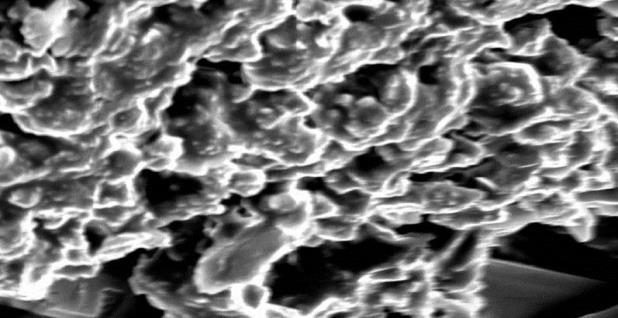 Figure 6: SEM image of F A 1000x magnification Apparent density It was observed that with increment in chitosan concentration there was also increasing in apparent density.