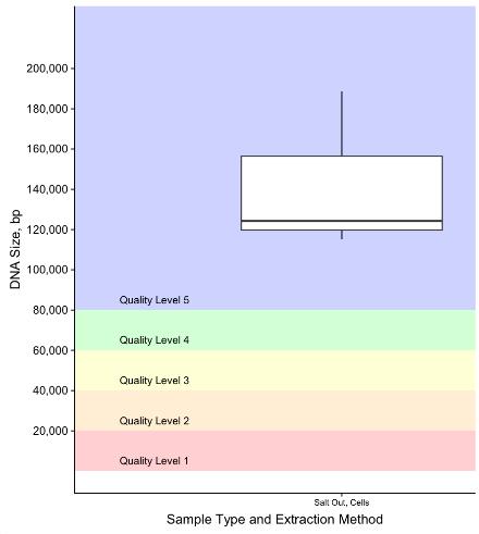 A subset of the resulting HMW gdna from each sample was processed with Chromium Genome Reagent Kits and sequenced on an