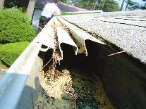 existing gutters For