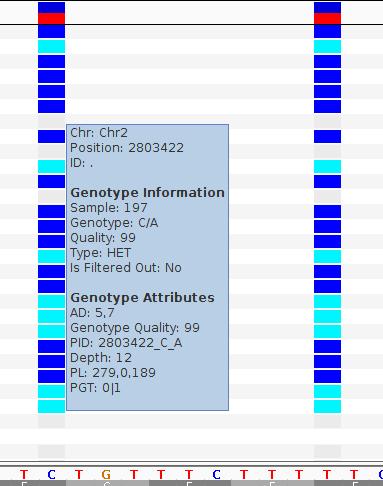 The third example, Figure 16, of RADSeq 197 shows homozygous reference (gray color) and homozygous variants (cyan color) with heterozygous variants (dark blue) which has a higher genotype quality
