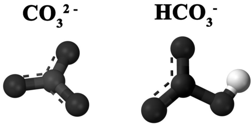 Methanides, such as aluminum carbide, produce methane in the reaction with water. Al 4 C 3 + 12H 2 O 4Al(OH) 3 + 3CH 4 Acetylides produce acetylene in the reaction with water.