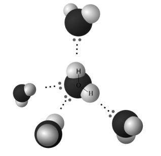 Oxygen atom is black, hydrogen atoms are grey О Figure 2. Formation of hydrogen bonds by water molecules.