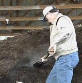 Soil ph, phosphorus, and potassium are the primary factors to consider. Other nutrients, such as calcium, magnesium, and organic matter, could be useful also, especially for long-term comparisons.