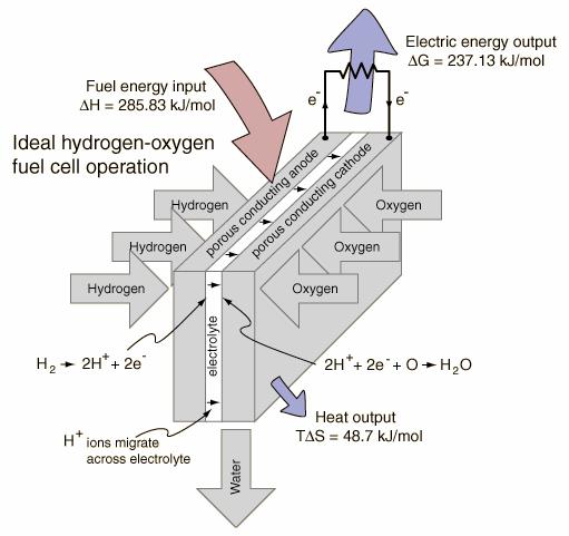Hydrogen Fuel Cell Quantity H 2 0.5O 2 H 2 O Change Enthalpy 0 0-285.83 kj ΔH = -285.83 kj Entropy 130.68 J/K 0.5 x 205.14 J/K 69.91 J/K TΔS = -48.