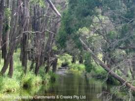 stream (d) Urban creeks with a catchment area less than 500 ha.