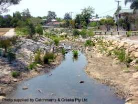 If mangrove infestation is expected along the drainage channel, then consideration should be given to the inclusion of an elevated grass-lined bypass channel.