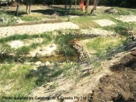 Generally relies on shading by suitable canopy cover (riparian zone) to control weeds and excess vegetation growth.