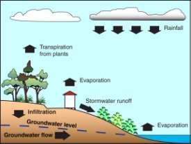 Chapter 1 Introduction Water cycle Section 1.5 Total Water Cycle Management (TWCM) Stormwater runoff is an important component of the total water cycle.