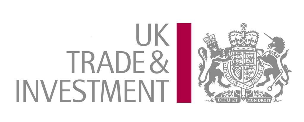 Digital Content Strategy Focus Group Public Report Prepared for UK Trade & Investment Mark Leaver -