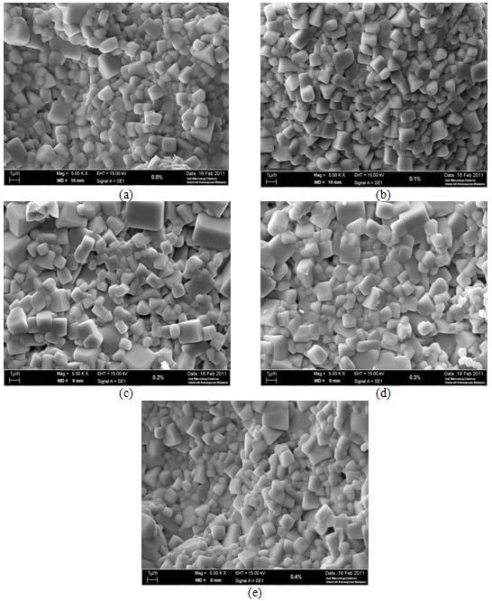 Figure 3: SEM micrographs of samples doped at