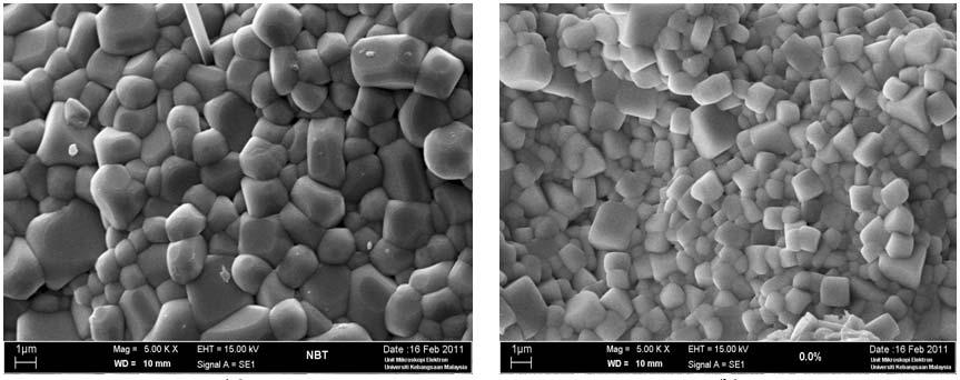 Figure 3 shows the SEM micrographs of NBT pellets doped at 0, 0.1, 0.2, 0.3 and 0.4 wt%. The grain is observed and almost no pores are revealed in all samples.