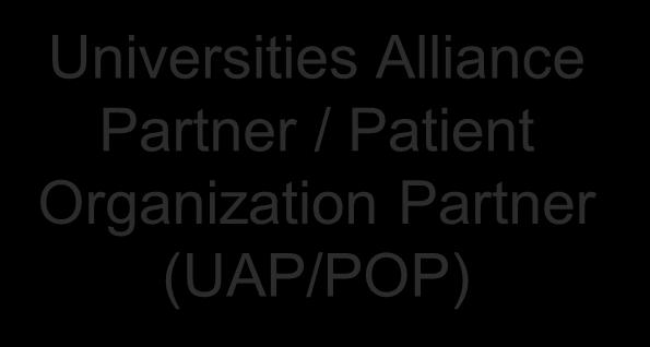 The Academic Partnerships of the BioPontis Foundation Cures Discovery Research Intellectual Property Universities Alliance Partner / Patient Organization Partner (UAP/POP)