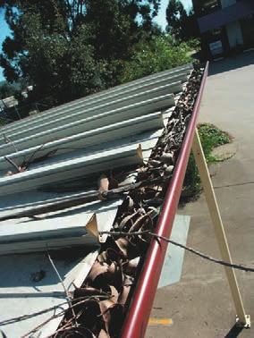 Gutter maintenance 1) A typical suburban gutter clogged with leaf litter prior to cleaning. 2) Wear correct protection when clearing leaves and twigs.