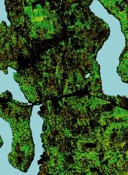 Natural forest cover is represented by a green line and indicates places with greater than a 50% tree canopy.