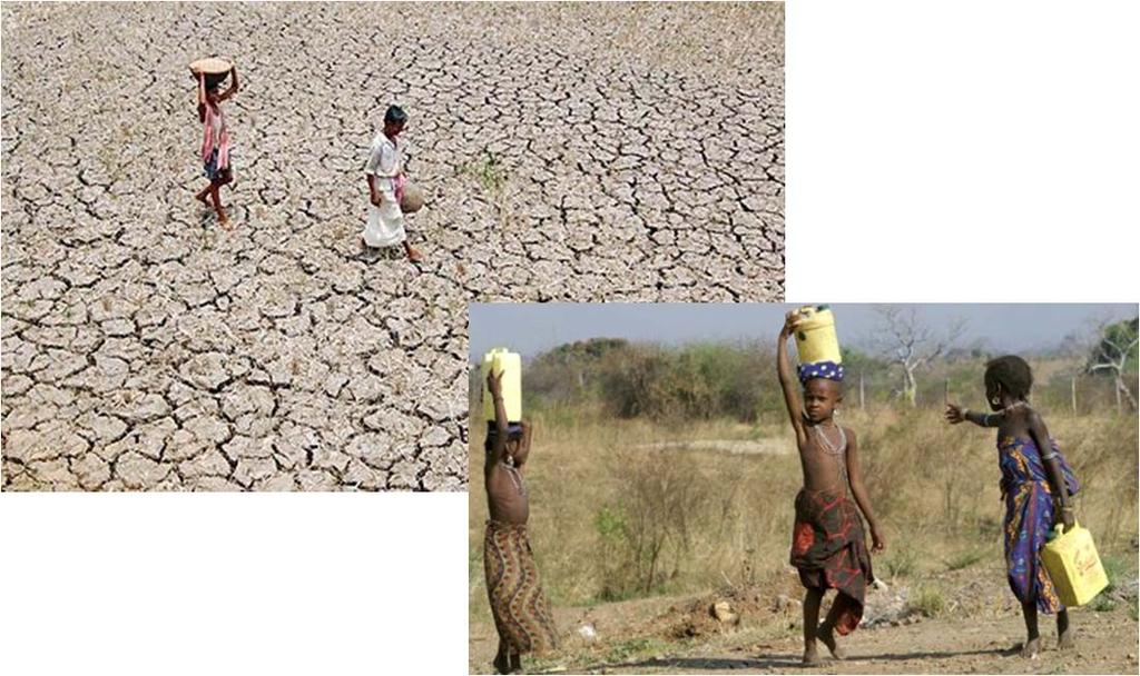 Decreased Community Resilience Drought Food shortage Environmental degradation Statement on the Climate Change
