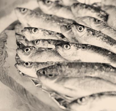 A major market for seafood EU is the top trader of fishery