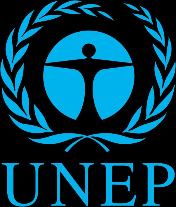 1972: UNEP Mission: to provide leadership and encourage partnerships in caring for the environment by inspiring, informing and enabling nations and people to improve their quality of life without