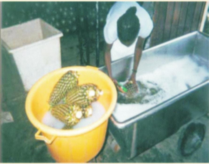 Picture 1: Un-automated (manual) washing and disinfection of pineapple fruit PC (c) Identify chemicals for washing and disinfecting The following are examples of chemicals (fungicides) for washing