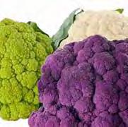 Cauliflower should be stored at 32 F at 90-98% relative humidity.