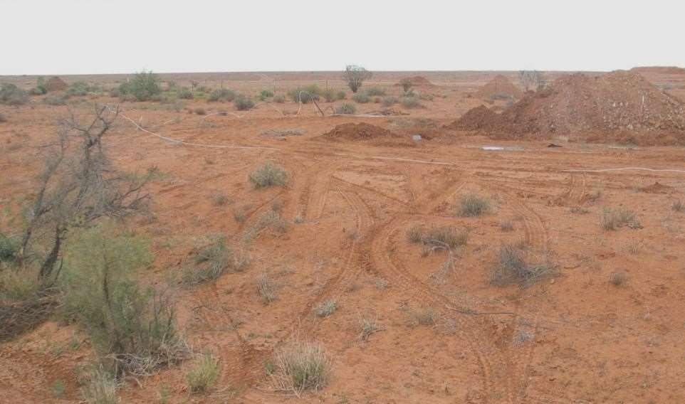 Minimise Impact Remove Topsoil Before Excavation Topsoil must be removed and stockpiled separately, adjacent to the excavation e.g.