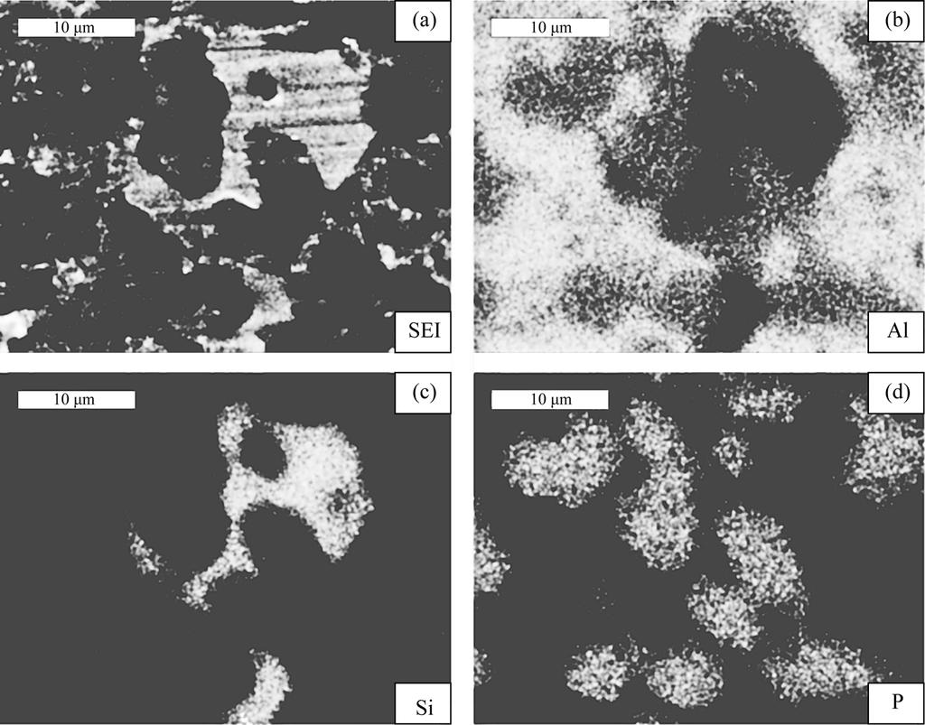 414 RARE METALS, Vol. 28, No. 4, Aug 2009 Fig. 2. EPMA analysis of the Al-15Si-3.5P master alloy: (a) SEI and (b-d) X-ray images for elements Al, Si, and P respectively. 3.2. Modification and refinement performance of Al-Si-P master alloys Fig.