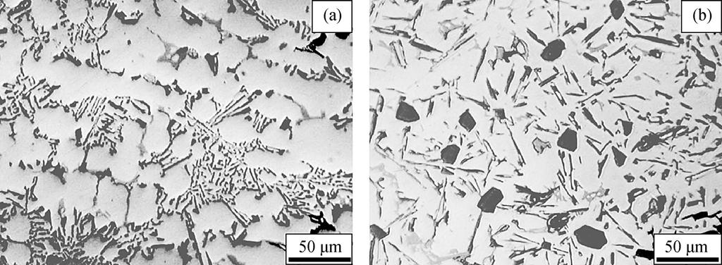 It can be seen that the typical microstructure of eutectic Al-Si alloys is composed of α-al dendrites and acicular eutectic Si, without primary Si. As evident in Fig.