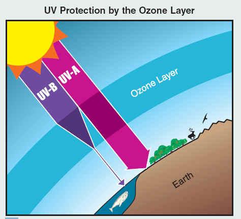 Water Pollution - The ozone is a thin layer of gas around the Earth that protects us from the sun's harmful UV rays.