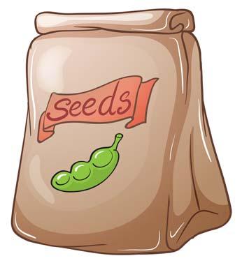 A packet of seeds and a shovel is not gardening A
