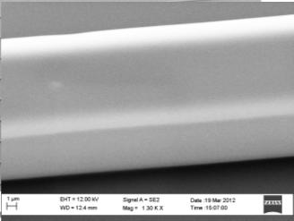 polymer SEM image of a waveguide defined by laser direct