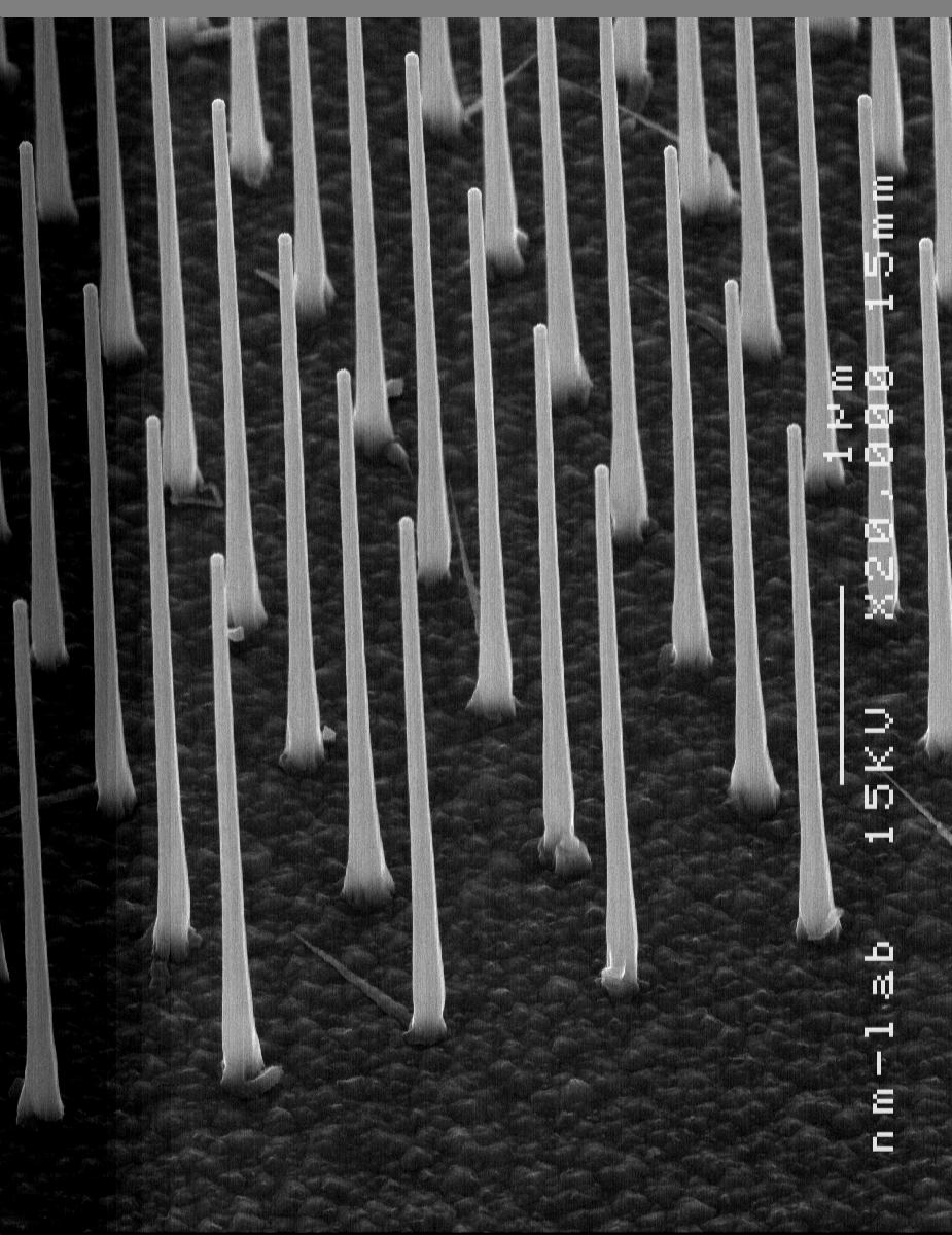 Nanotrådar odlade från