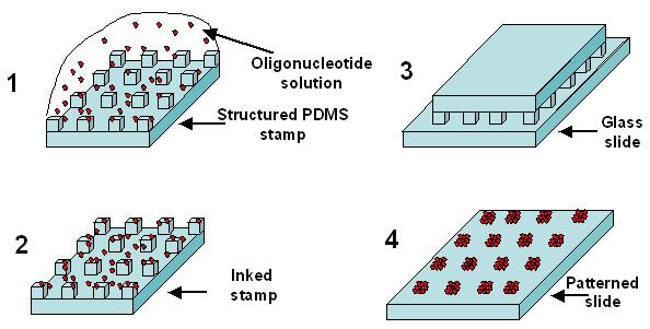 Bio chip fabrication using nano-imprinting Imprinting of bio