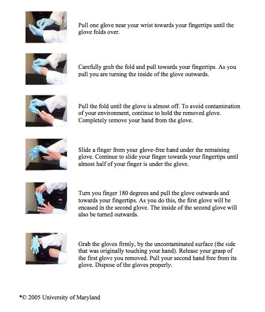 F. Glove removal Gloves should be changed whenever one s work is completed, before leaving the lab and if the glove becomes contaminated or compromised.