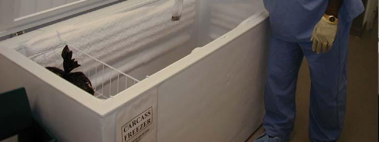 for disposal Special carcass freezers are available for any euthanized