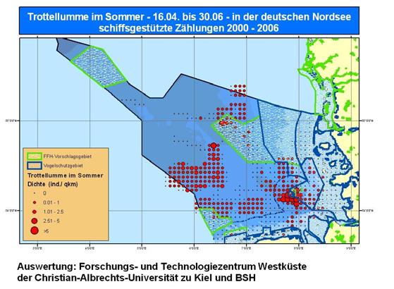 Strategic Environmental Assessment For the first time a large scale SEA has been carried out in a sea area distant from the coast Main content of the report: description and evaluation of