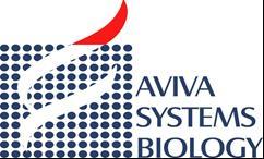 Assay Biotechnology Company www.assaybiotech.