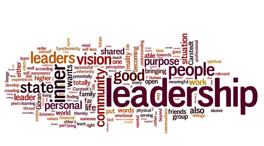 Leader Development Goal Aspiration to meet leadership demands; High levels of