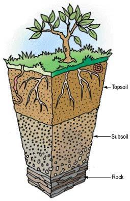 Loss of topsoil made of organic matter (subsoil consists of inorganic