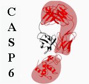 Evaluation Every two years: CASP Algorithms are