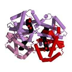 Intact Antibody-Mab231; Chain: A, B, C, D 1IGT L.J.Harris, S.B.Larson, K.W.Hasel, A.