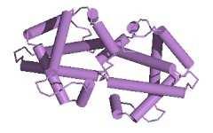 Example: Hemoglobin Chain A Tertiary Structure Chain A Secondary structure and motifs: 19 Helices 50 Helices-helices