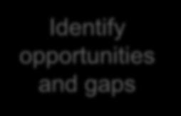 Identify opportunities and gaps