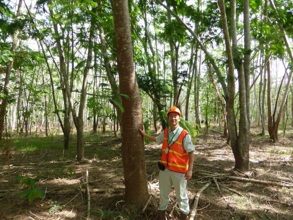 in 2015 Successful forest rehabilitation with