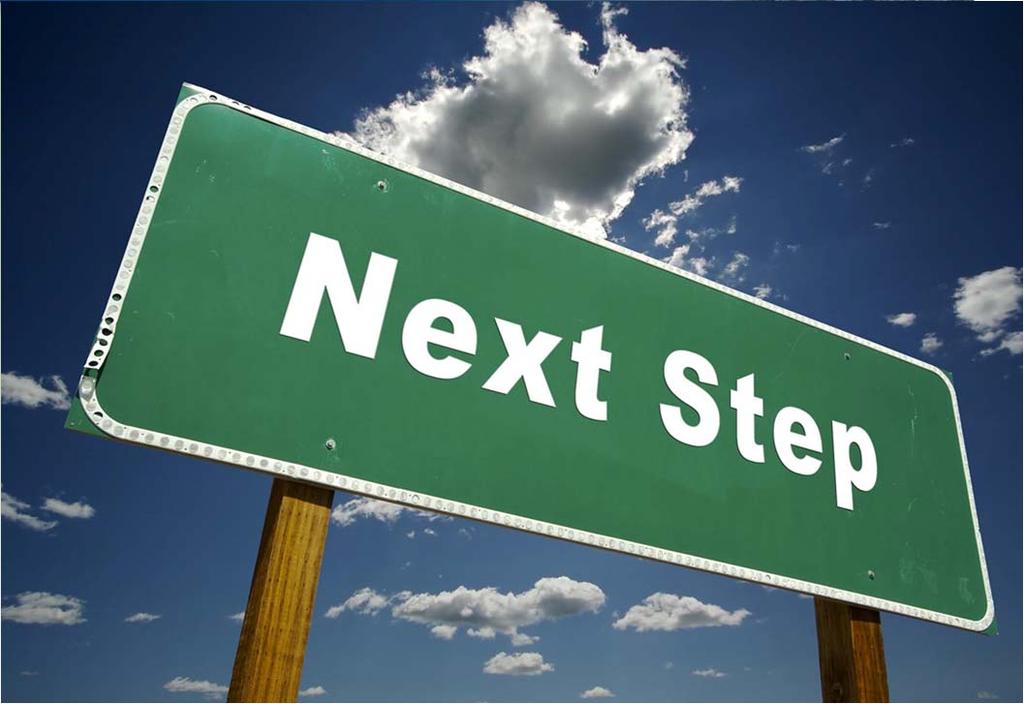 NEXT STEPS One-on-One meetings CAG Meetings: Winter - Spring Round 3 alternatives performance evaluation completion Blue Line Vision Study results Intelligent