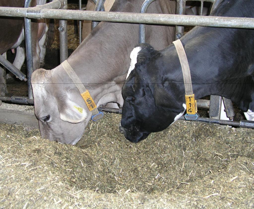 Profil - Leitbild National organic dairy farm evaluation Krutzinna et al. 1996 n = 253, 1993 -'95 ".