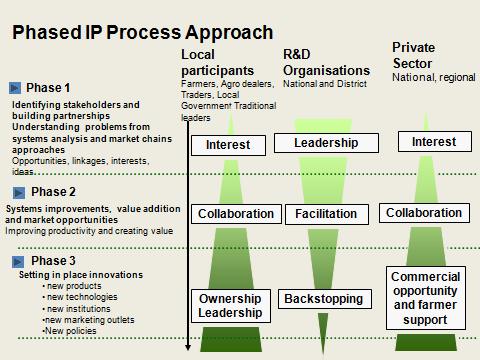 Phase 3 allows IPs to assess the performance of innovations in terms of new policies, new institutions, capacity needs, technologies developed, market linkages, and